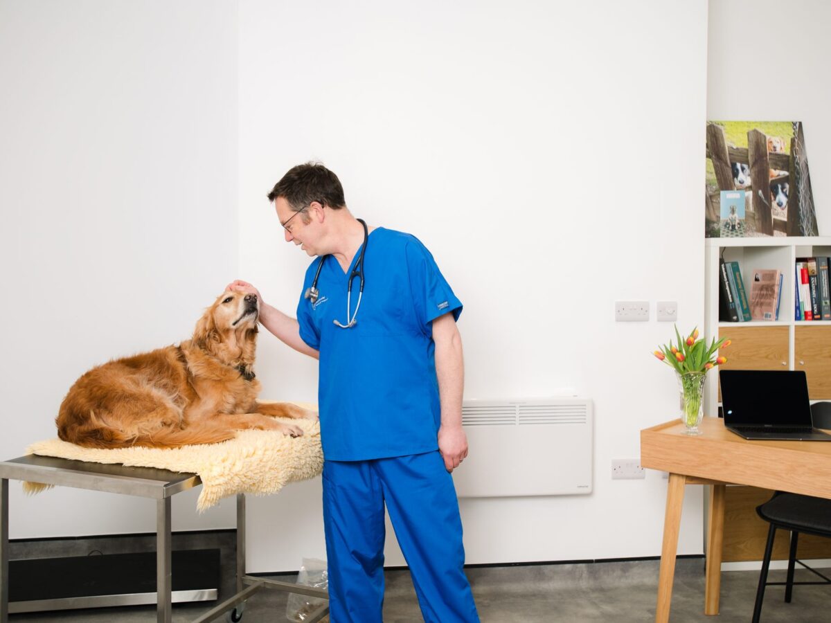The consulting room at Pet Pain Relief in Dulverton