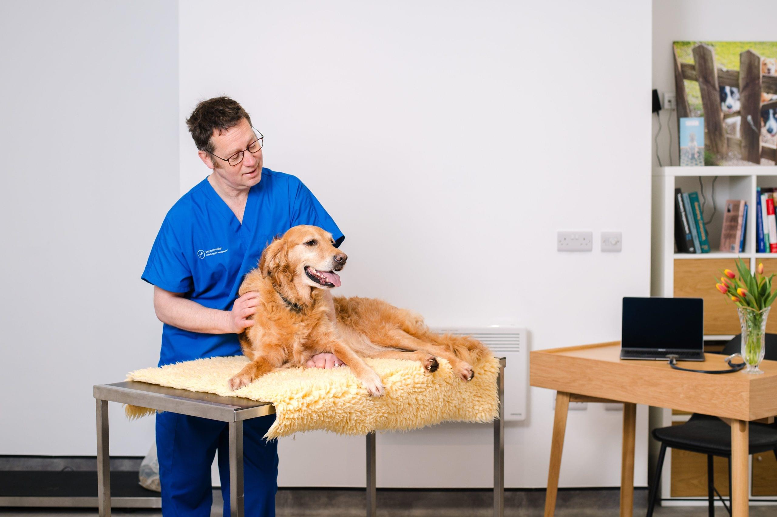 Dr Hunt caring for a golden retriever